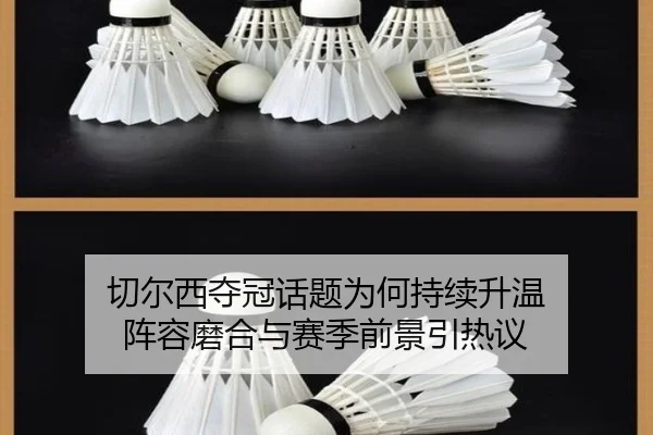 qie-er-xi-duo-guan-hua-ti-wei-he-chi-xu-sheng-wen-zhen-rong-mo-he-yu-sai-ji-qian-jing-yin-re-yi-2-976.jpg